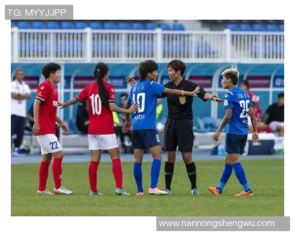 南京足球队与杭州足球队赛后分析实力对比与战术探讨