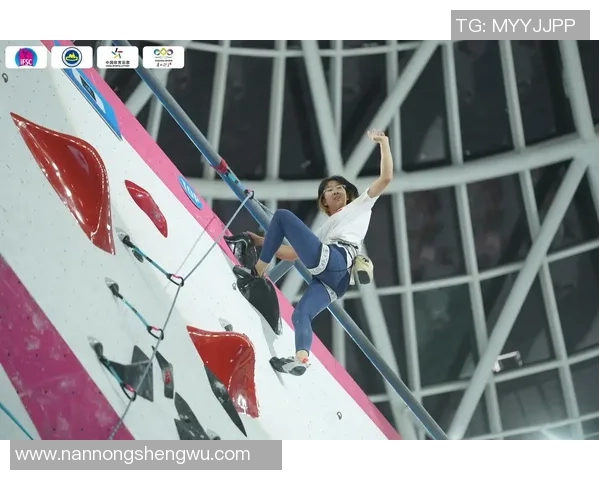 南京攀岩队实力飙升再创佳绩引领全国攀岩新风潮